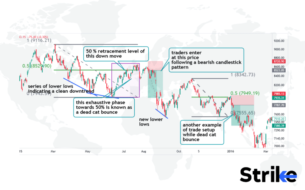 Dead Cat Bounce Pattern